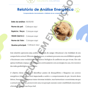 Relatório Análise de PETS | Editável no Canva