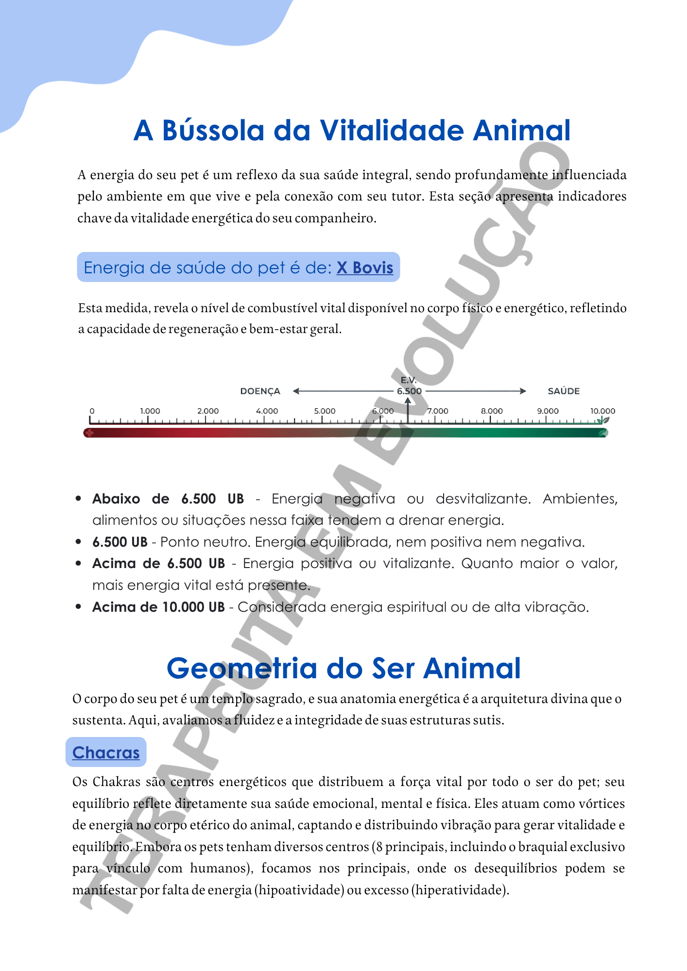 Relatório Análise de PETS | Editável no Canva - Imagem 2
