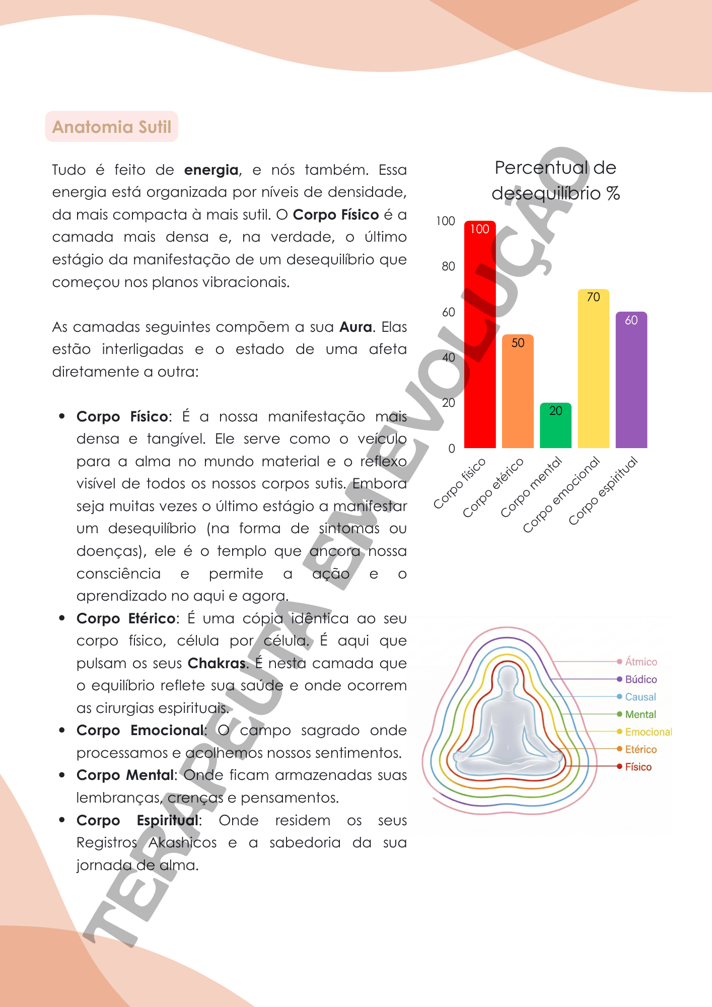 Relatório Análise Energética RADIESTESIA | Editável no Canva - Imagem 5