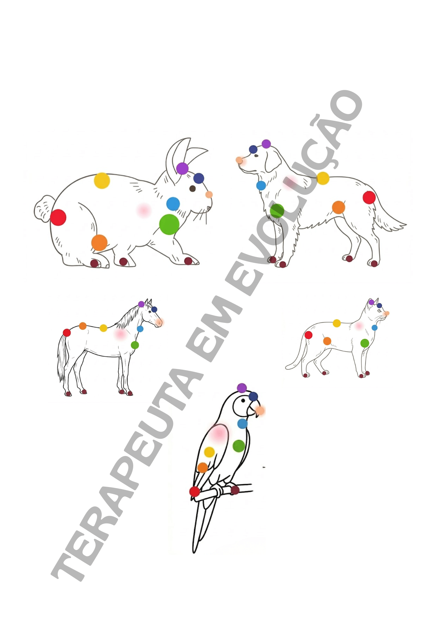 Relatório Análise de PETS | Editável no Canva - Imagem 6