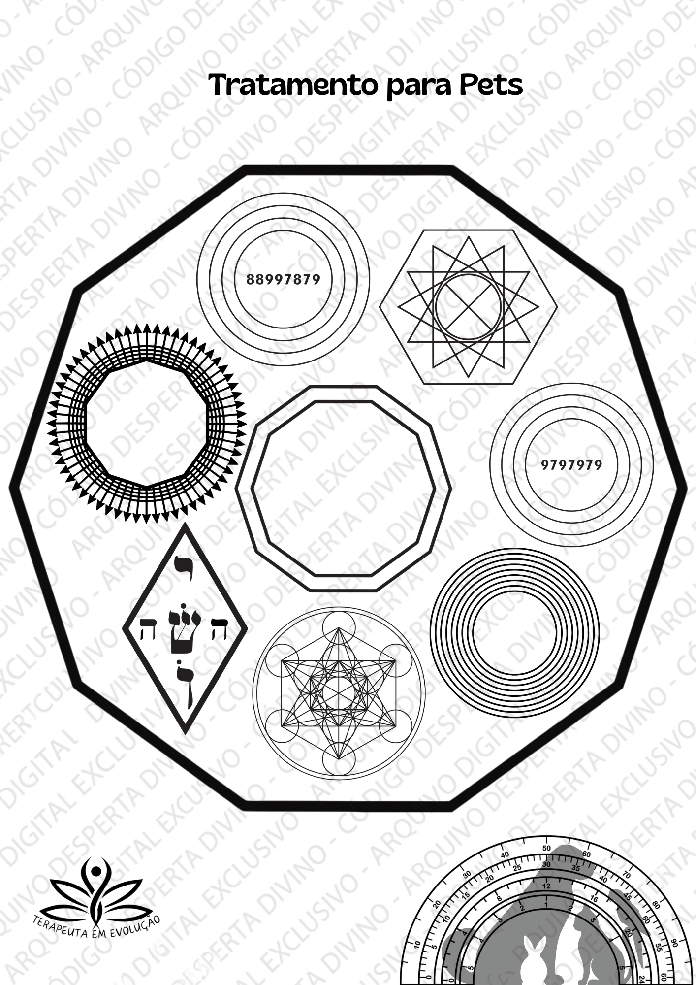 Mandala Energética Mandala Tratamento para Pet