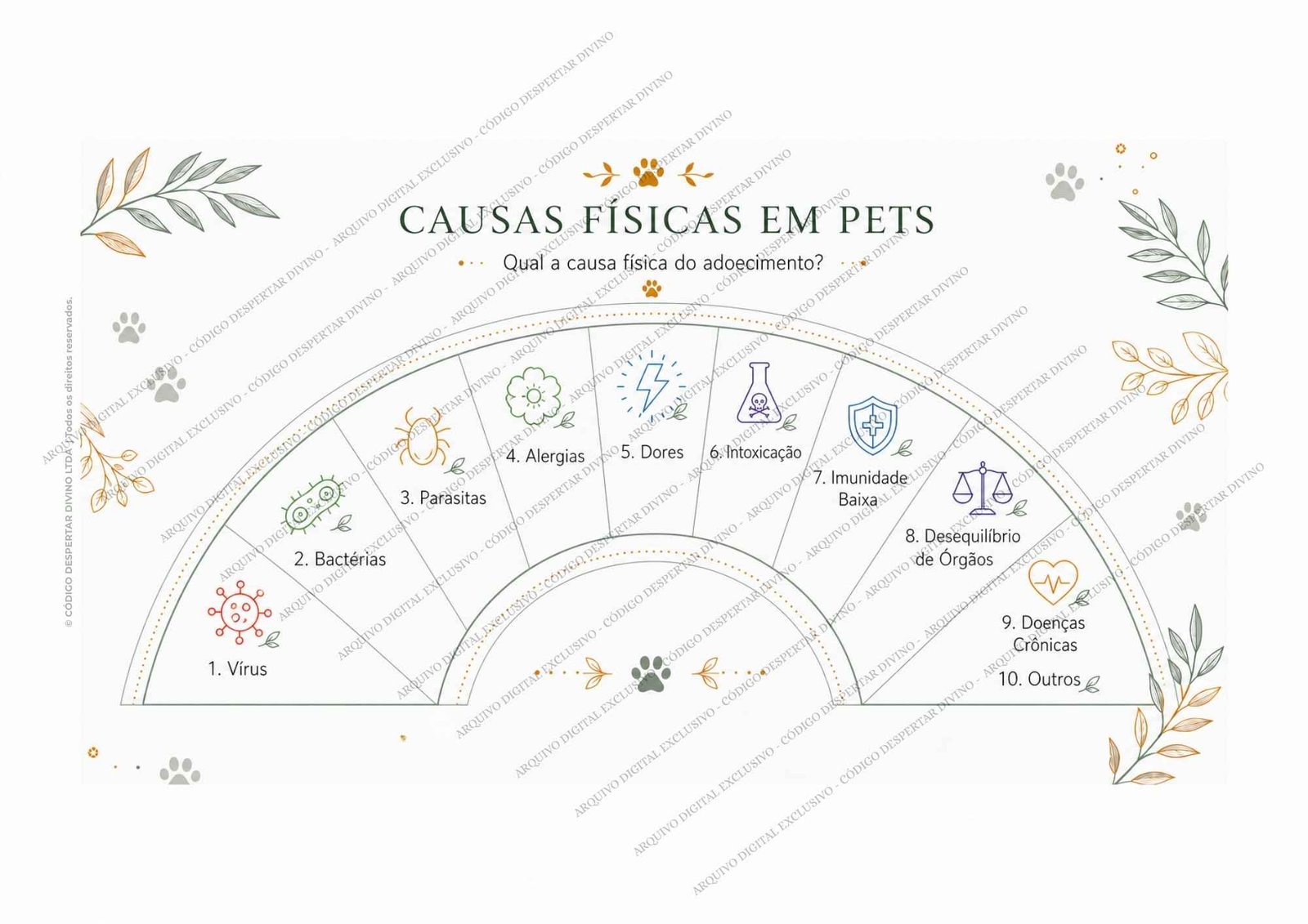 Pack 10 Biômetros Análise de Radiestesia — Cuidados com Animais|Pets - Imagem 7