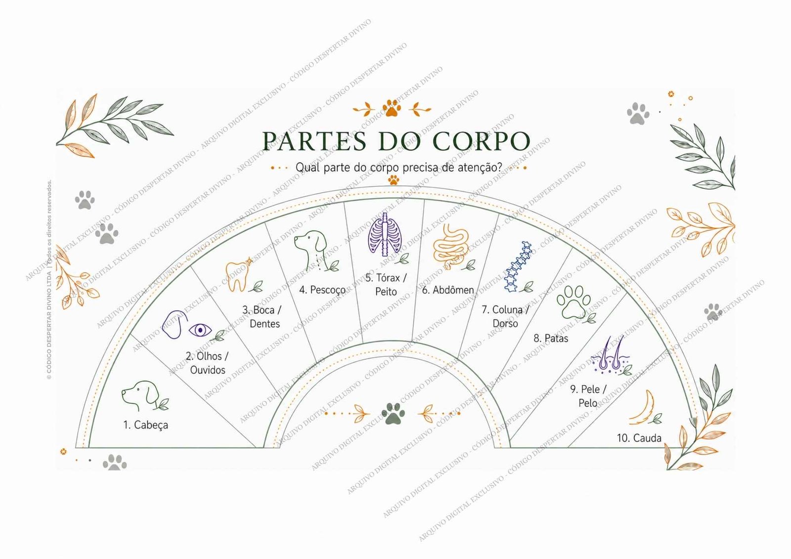 Pack 10 Biômetros Análise de Radiestesia — Cuidados com Animais|Pets - Imagem 9